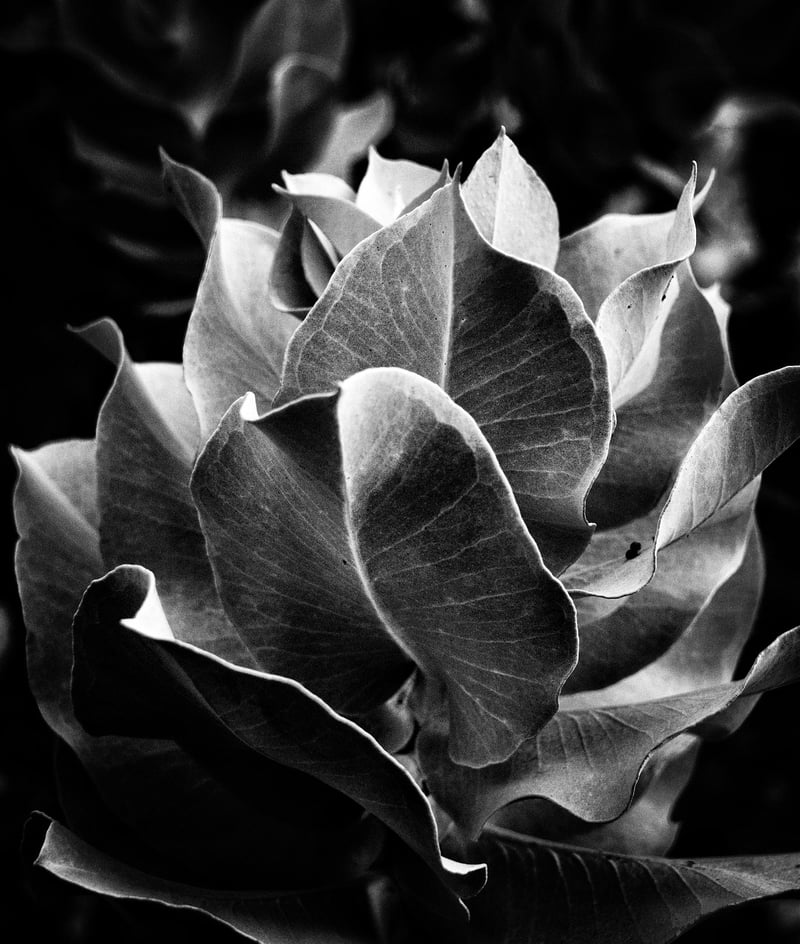 Sculptural Assemblage